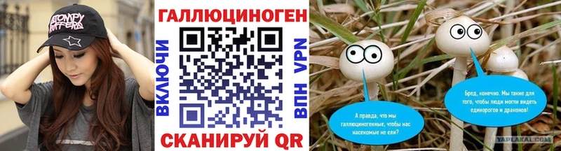 Псилоцибиновые грибы GOLDEN TEACHER  наркошоп  Курлово 